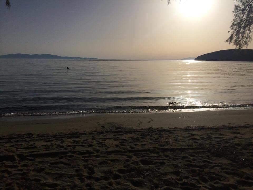 Elia Apartments Agios Romanos 외부 사진