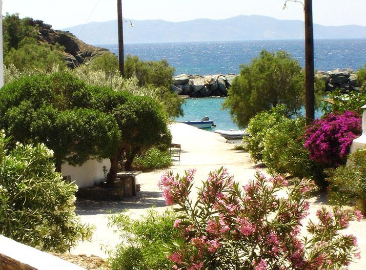 Elia Apartments Agios Romanos 외부 사진
