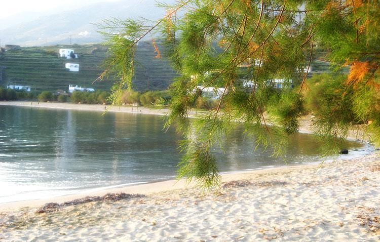 Elia Apartments Agios Romanos 외부 사진